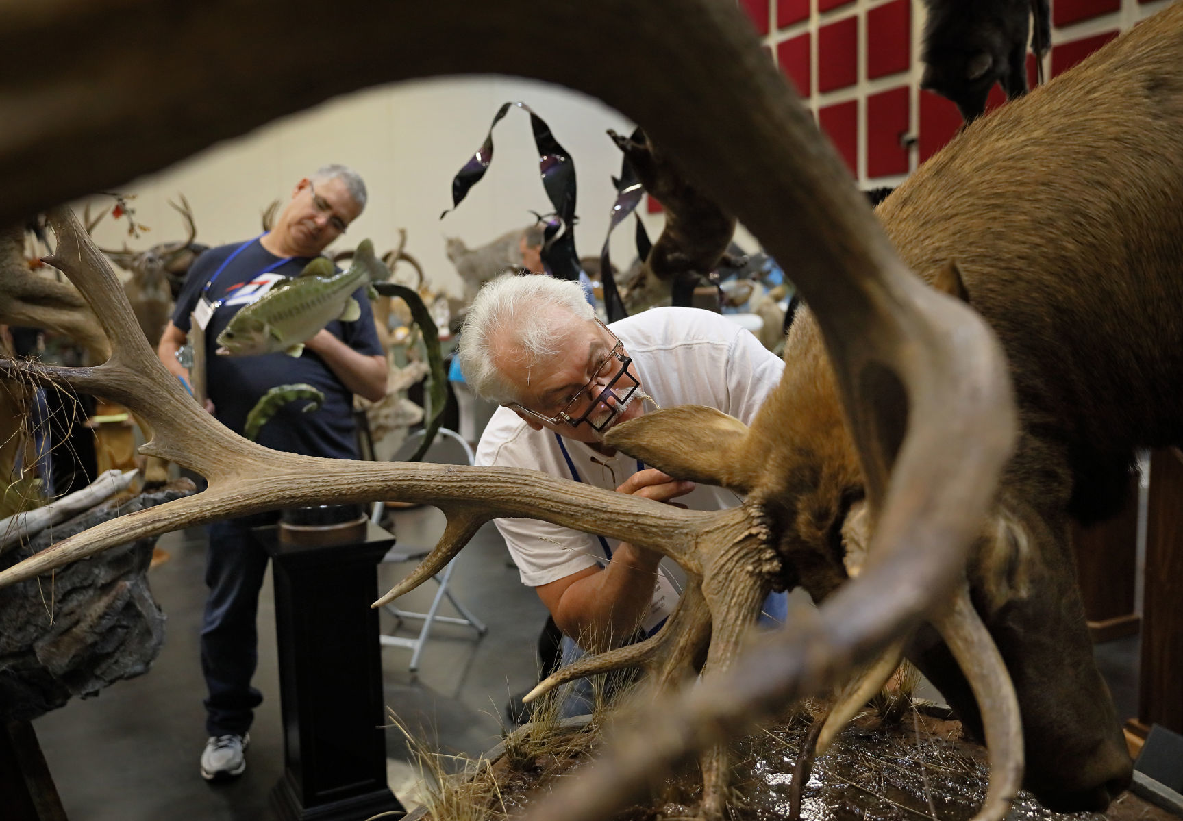 2019 World Taxidermy & Fish Carving Championships in Springfield, Mo.